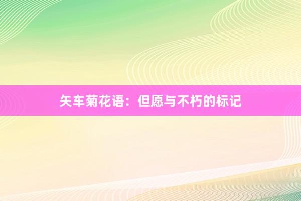矢车菊花语：但愿与不朽的标记