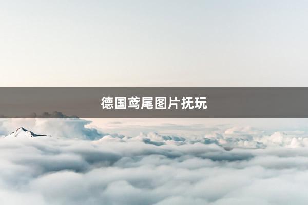 德国鸢尾图片抚玩