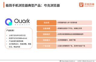 2018-2019年中国手机浏览器市场年度监测报告 洞察趋势与竞争格局